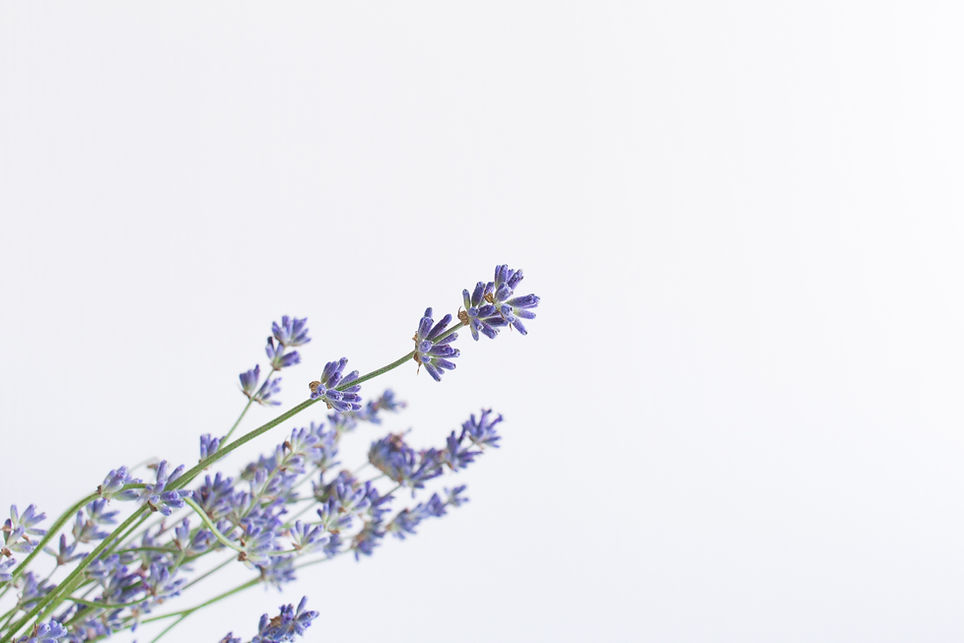 Image by Olga Tutunaru
