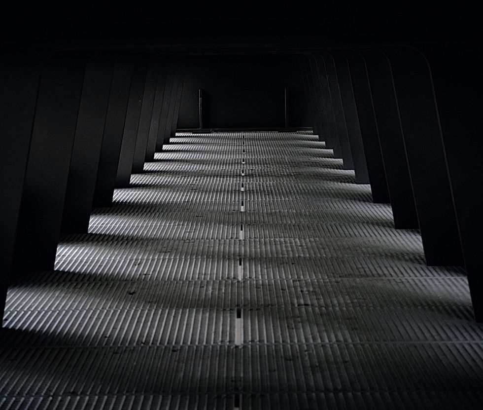 Image by Tim Schmidbauer