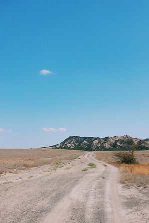 Image by Alex Shu