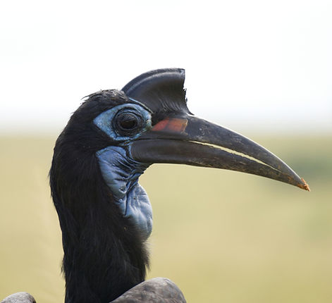 Image by Jonathan Göhner