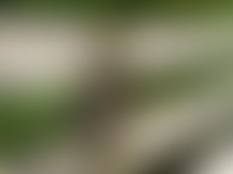 Navigating The Transition As The Older Generation Takes A Step Back