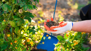 EU-funded PHAntastic project develops biodegradable agricultural materials to reduce plastic and chemical use