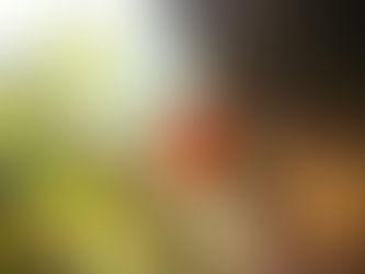 What was the true value of Frankincense and Myrrh?