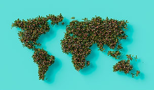 이미지 제공: A Chosen Soul