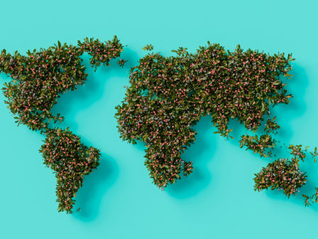 Bridging Global Health Diplomacy and World Federalism