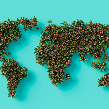 Bridging Global Health Diplomacy and World Federalism