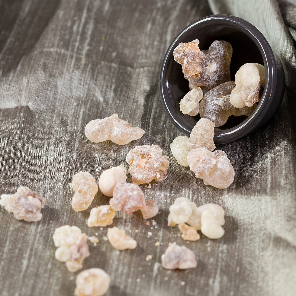 frankincense for cat aromatherapy can be relaxing