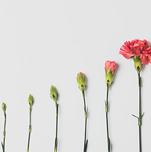 Image by Edward Howell
