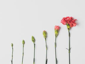 Growing your practice - the top 3 marketing activities of successful private practices.