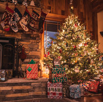 The Dark Side of the Holidays