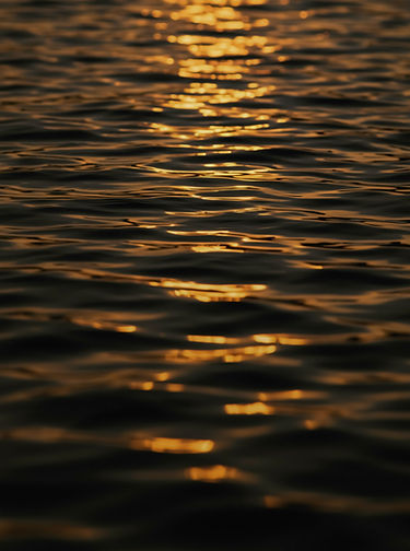 Image by Allec Gomes