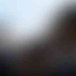 Münih Noel Pazarları Rehberi