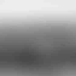 Massive wildebeest migration herd crossing Serengeti plains during annual Great Migration Tanzania a