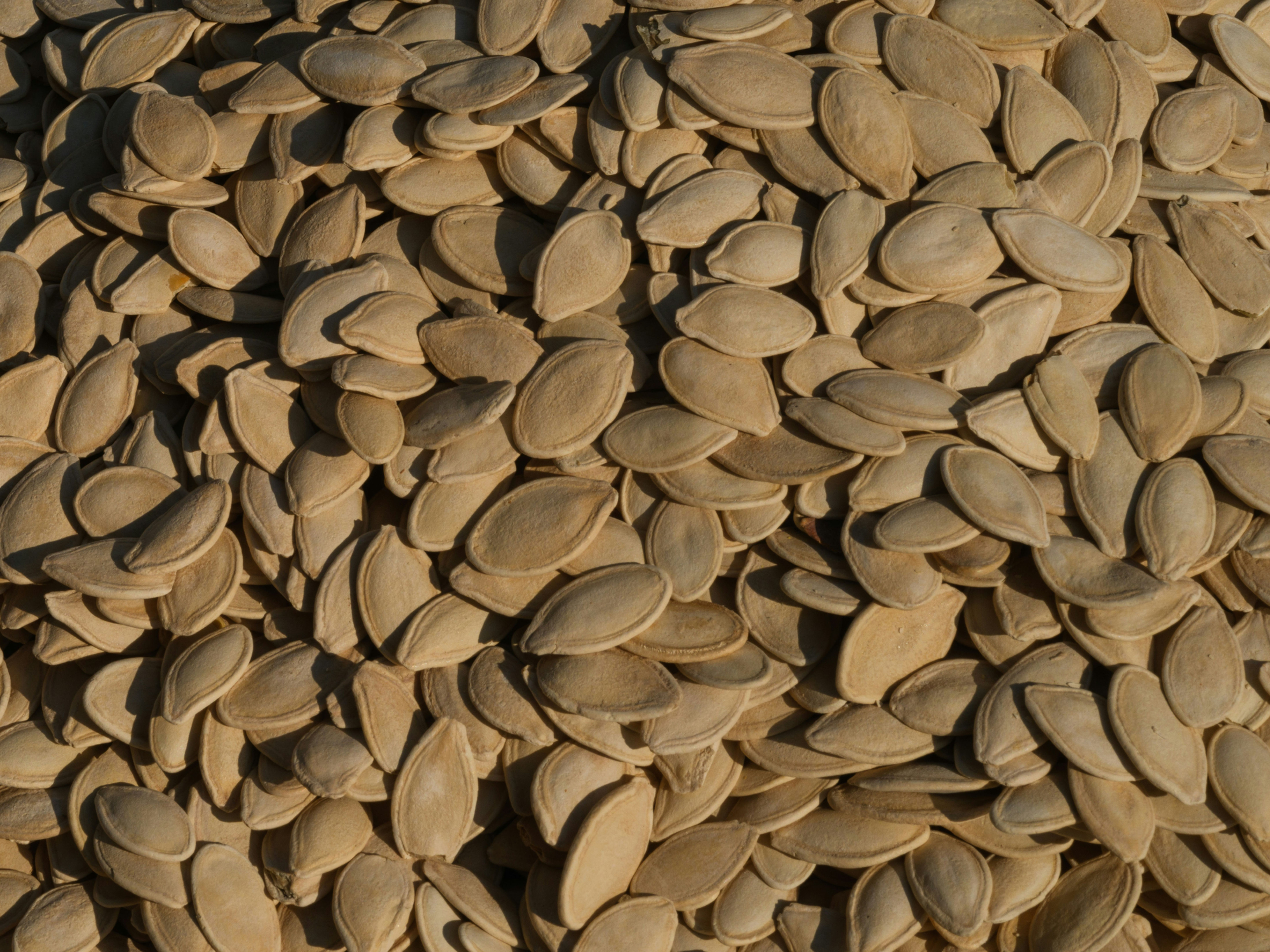 Flax Seeds