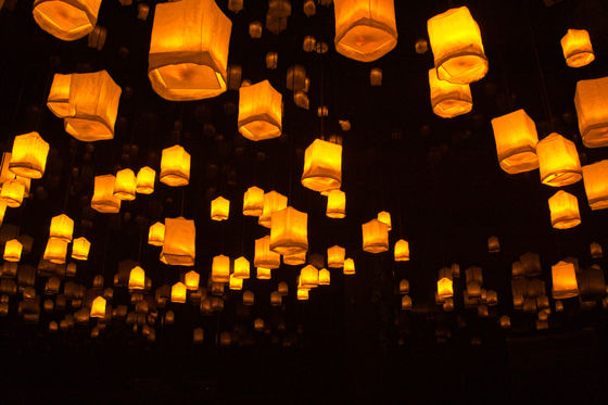 Lanterns float in the night sky, symbolizing hope, resilience, and compassion, as they illuminate the darkness with their gentle glow.