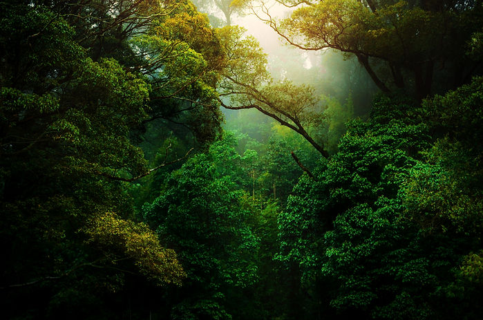 Image by Kunal Shinde
