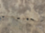 Crack in slab foundation