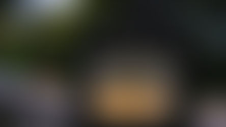 Close-up of a pedestrian crossing button displaying "WAIT" in amber. Blurred road and greenery in background. Overcast, dim lighting.