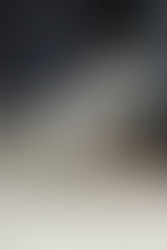 tira tw. en uso cromada pet lovers guatemala