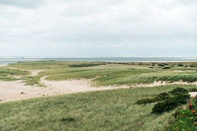 Image by Nicholas Bartos