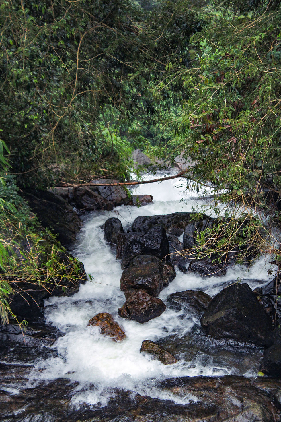 Imej kecil: Kerala Vagamon Waterfalls