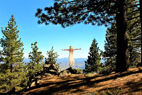 Image by Elisabeth Wales
