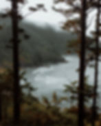 Image by Chris Henry