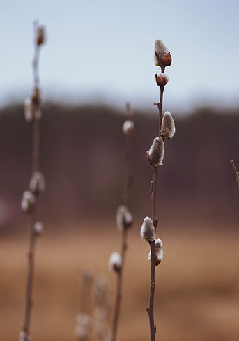 Image by Yurii Lehkyi