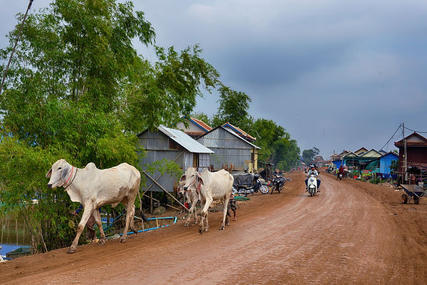 Image by allPhoto Bangkok