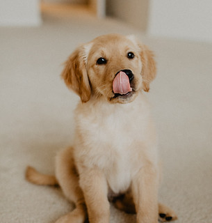 Image by Olga Andreyanova