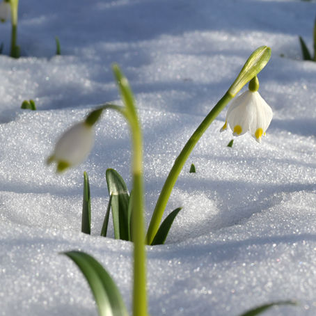 Well Fed Woman // Fall into Winter: Seasonal energetics, Food lists, Rituals, & Routines for the Cozy Witch