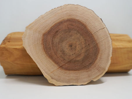 Why Sandalwood Became So Expensive: Chemistry, Sustainability, and the Rise of Synthetics