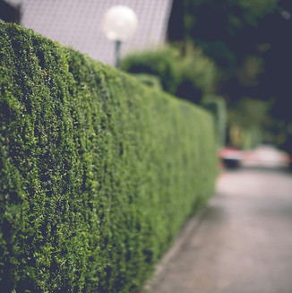 Image by Haberdoedas