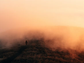 In the valley of the shadow