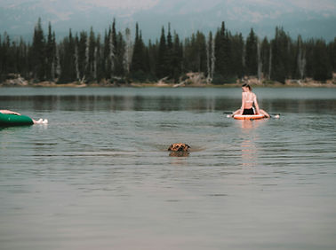 Image by Cortney Chummoungpak