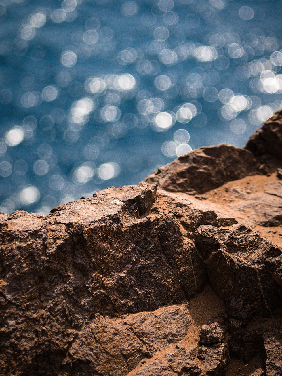 Rock On! The Secret Life of Rocks and Minerals