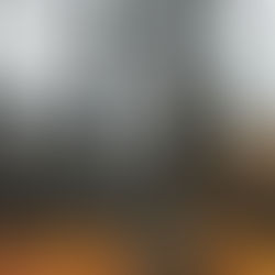 Untitled Nonsense