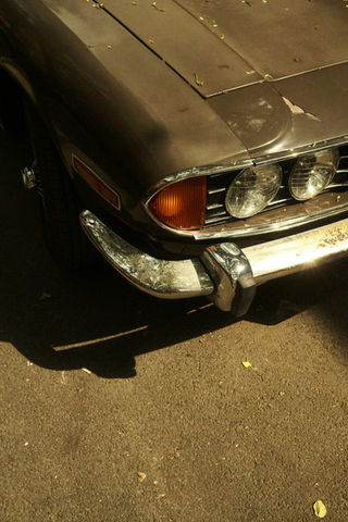 Vintage Charm