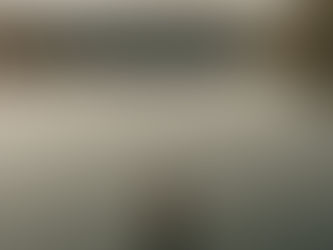 Healing from Within: The Power of Your Internal Environment