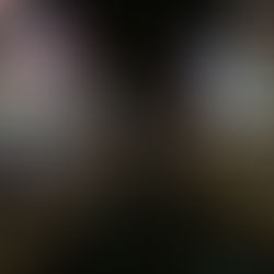 Osaka Like a Local: Full Itinerary Osaka/Nara/Kyoto