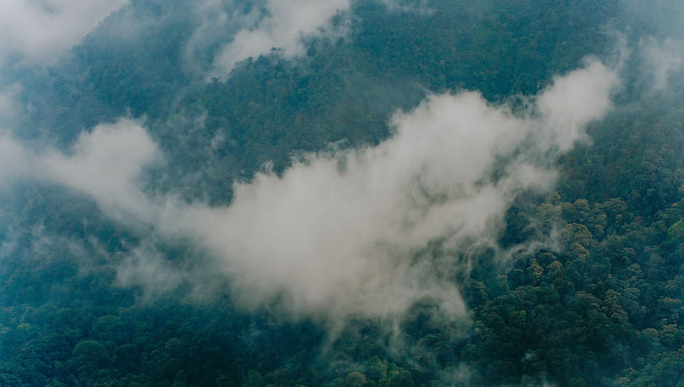 Image by Falaq Lazuardi