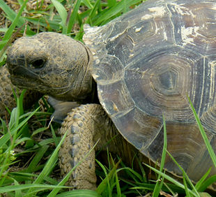 Image by Michael Hamments