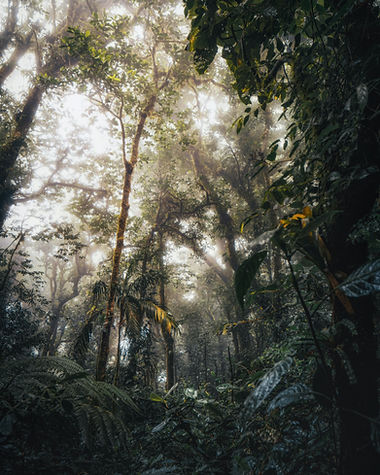 Image de Christopher Austin
