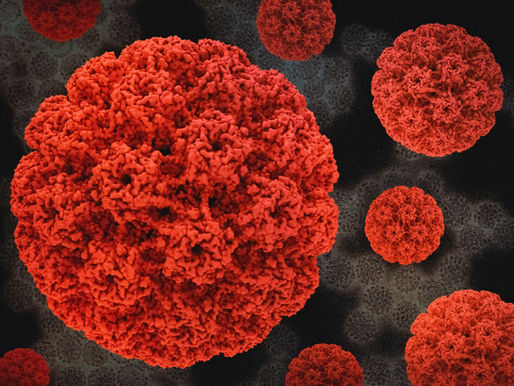 photo prétexte virus