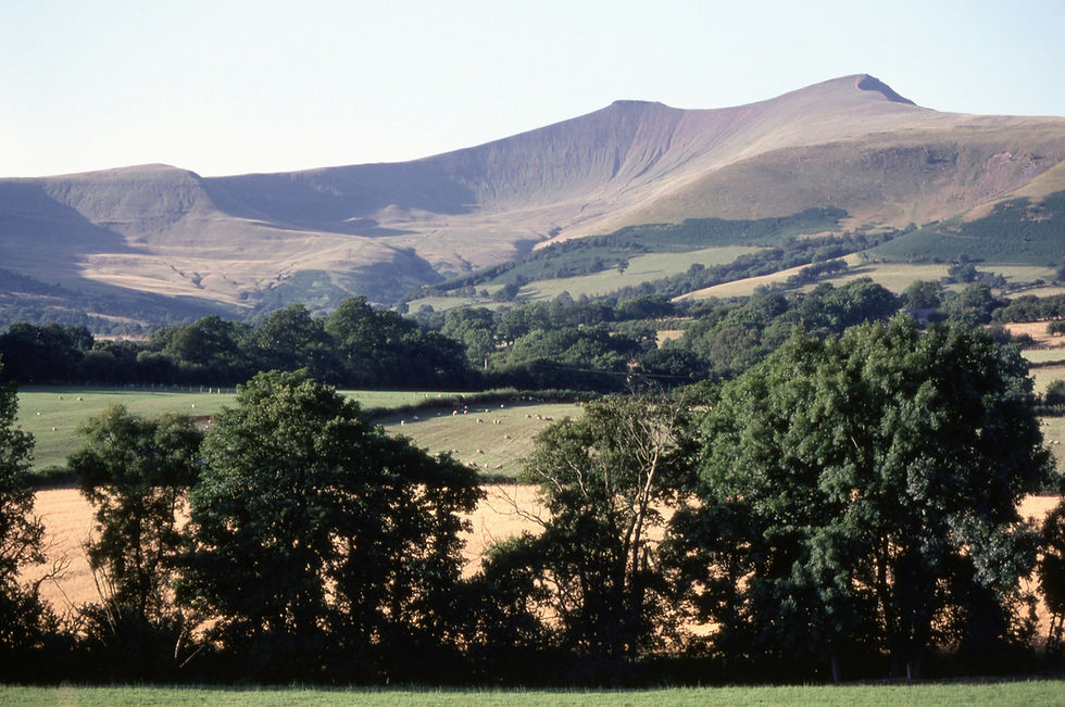 Sunlit mountain ridge above green fields and trees, with sheep grazing in a peaceful rural valley.