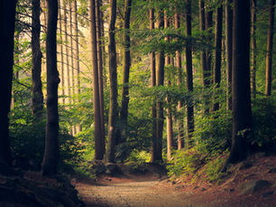 Rewiring Your Reality: Practical Steps for Transformative Change