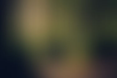 Calling all Nature Photographers!