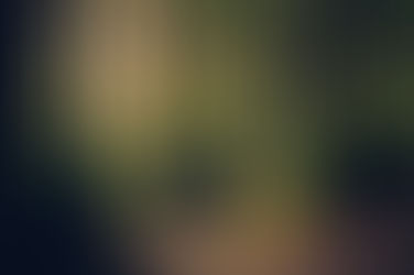 Nurturing Mental Wellness: The Profound Impact of Nature on Your Mental Health