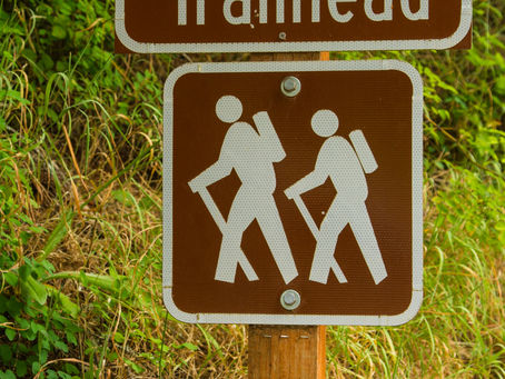 Basic Trail Safety Tips Everyone Should Know