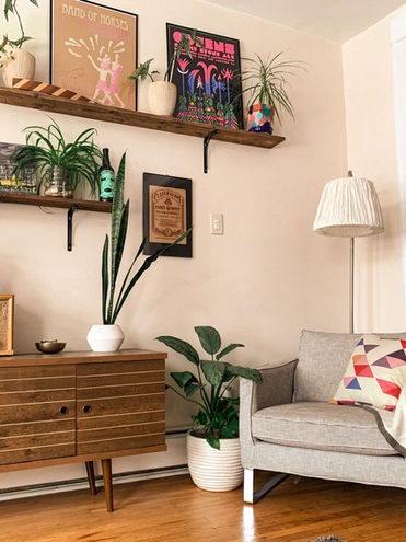 Plantes d'intérieur pour petit espace type studio 20 mètres carré
